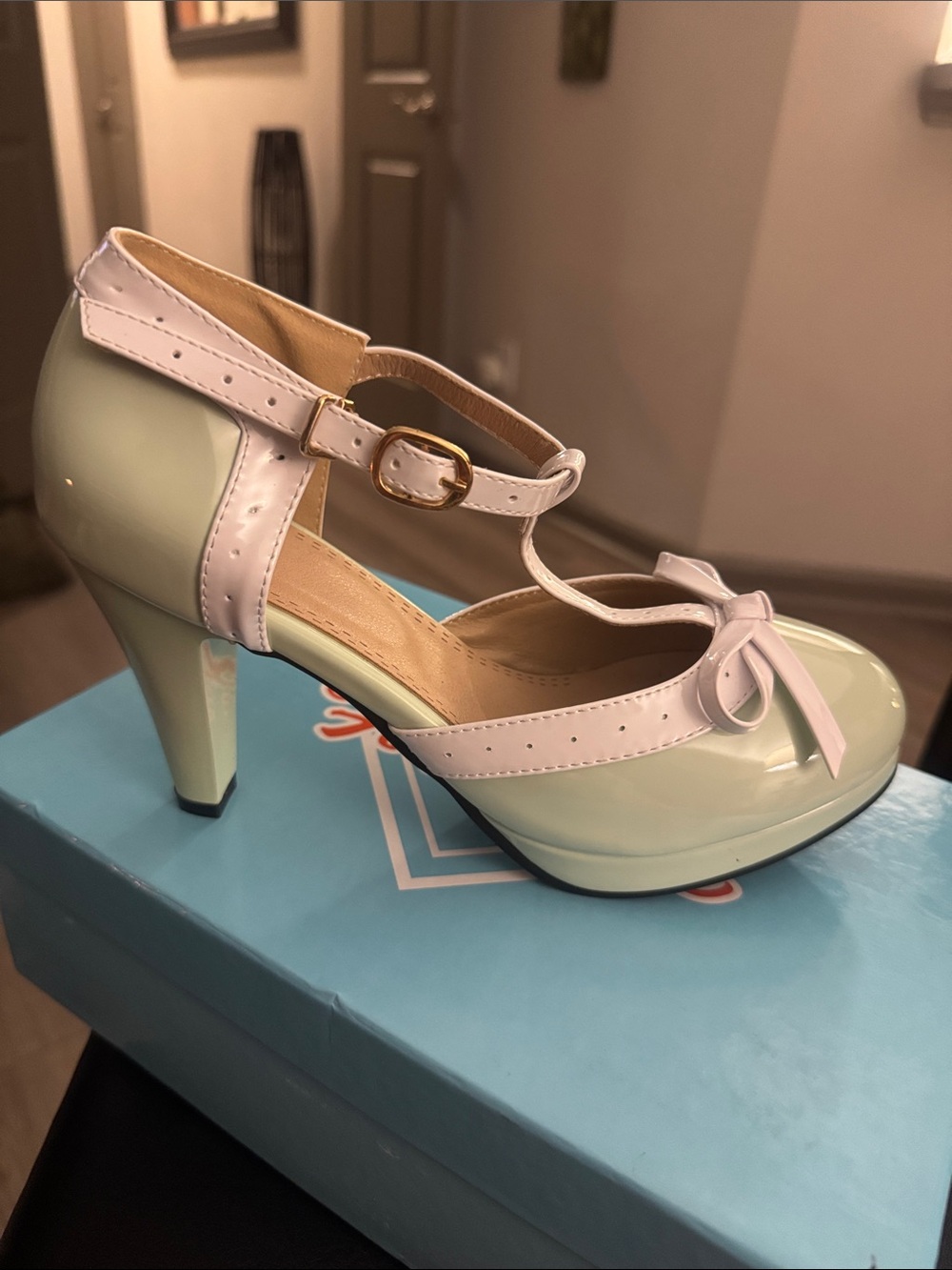 🔥Caradise Womens High Heel T Strap Mary Jane Pump🔥BRAND NEW ❣️